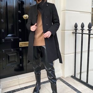 Aritzia babaton the conor coat